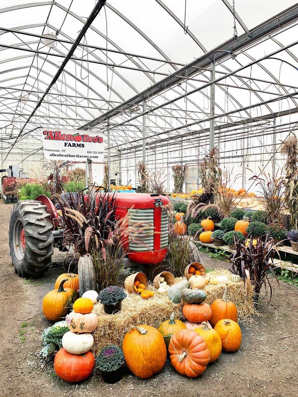 Tractor and pumpkins in a fall display
